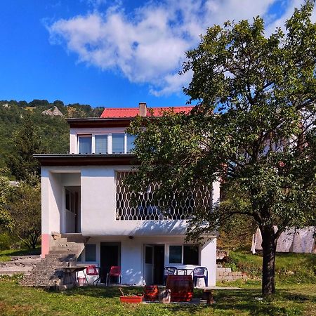Guesthouse Mirkovic Plužine Ngoại thất bức ảnh