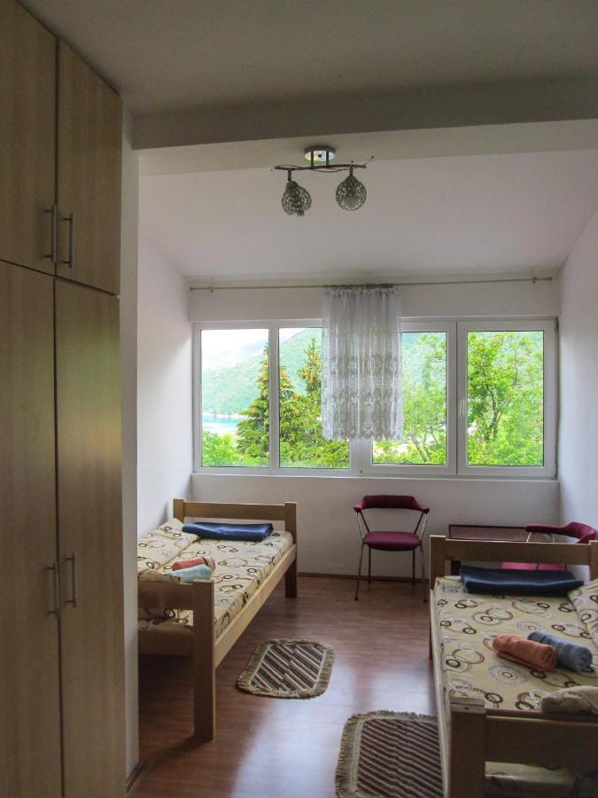 Guesthouse Mirkovic Plužine Ngoại thất bức ảnh
