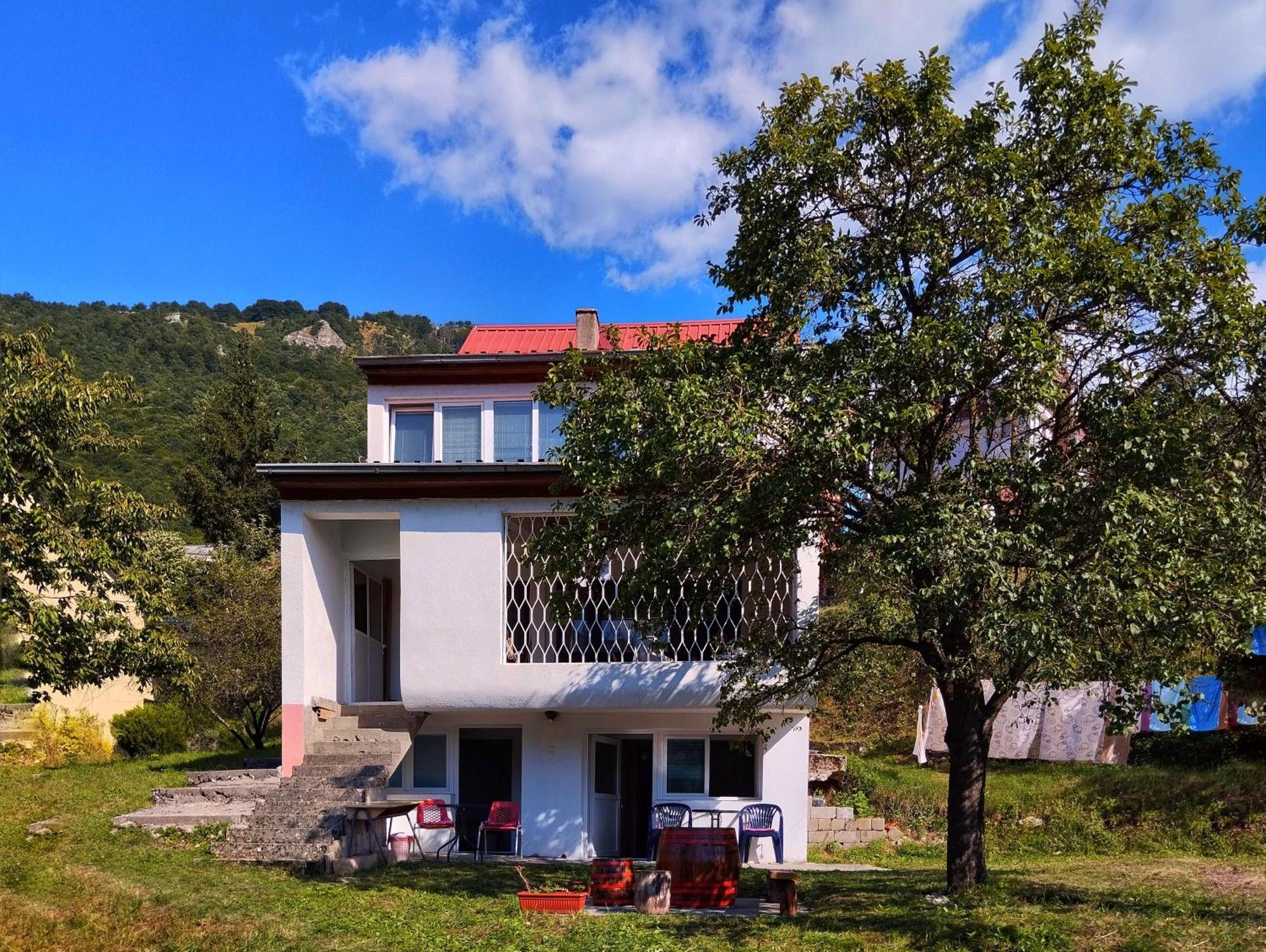 Guesthouse Mirkovic Plužine Ngoại thất bức ảnh