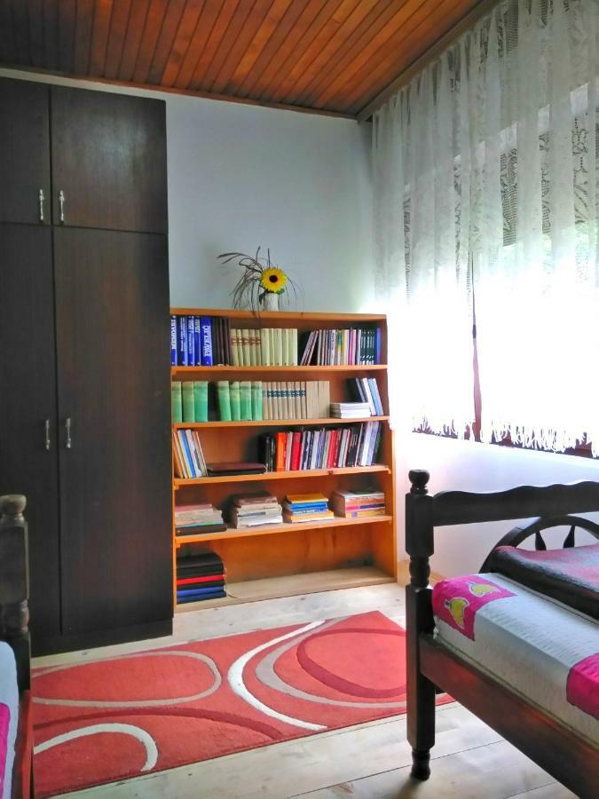 Guesthouse Mirkovic Plužine Ngoại thất bức ảnh